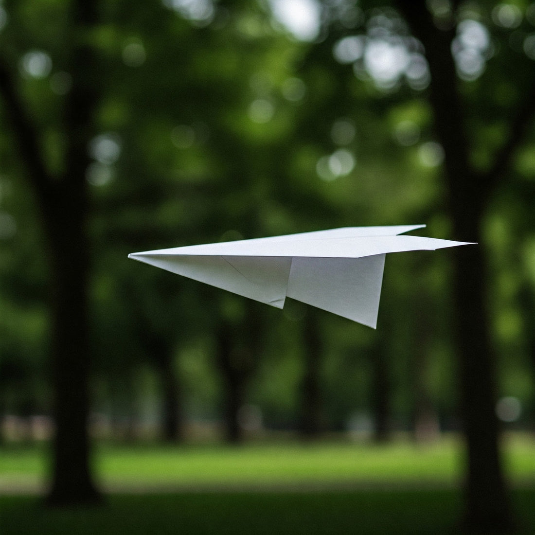 Paper Planes